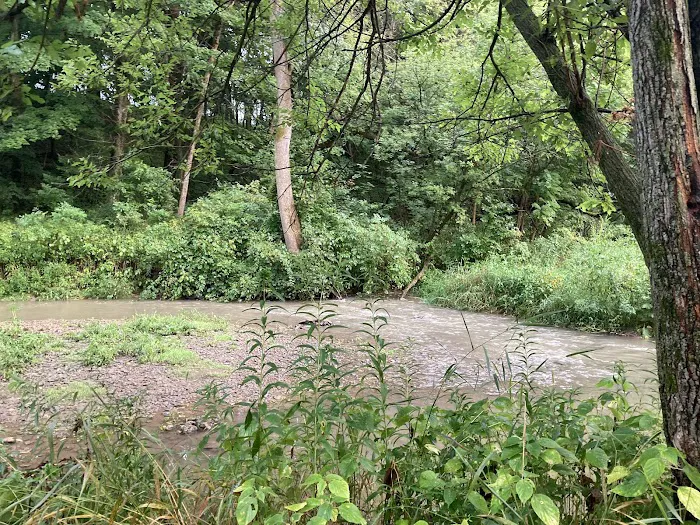 Swiss Valley Campground Picture 4