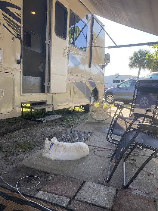 Breezy Palms RV Park Picture 4