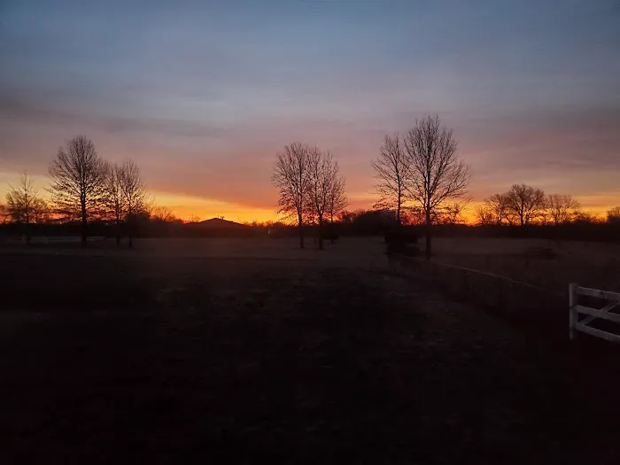 Lamar RV Park Picture 6