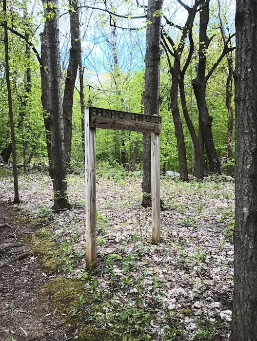 Pike Lake Backpacking Campsites Picture 3