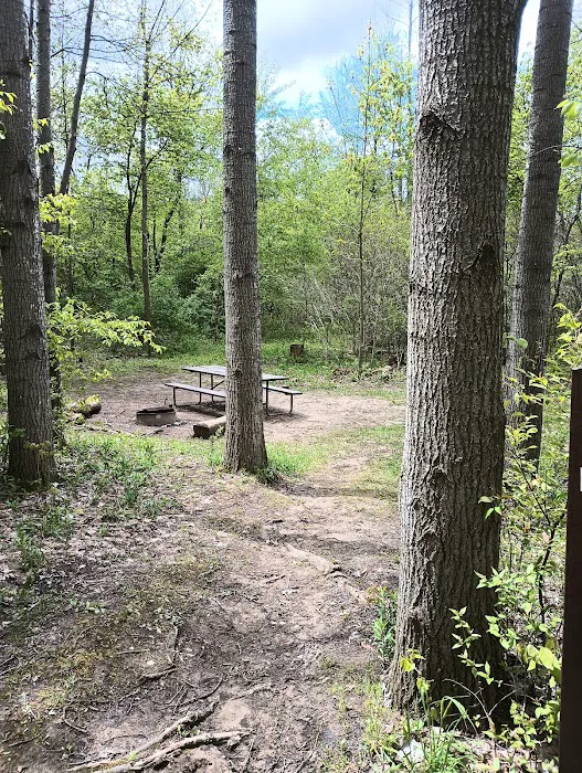 Pike Lake Backpacking Campsites Picture 4