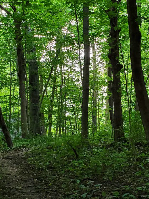 Timber Trail Camp Ground Picture 10