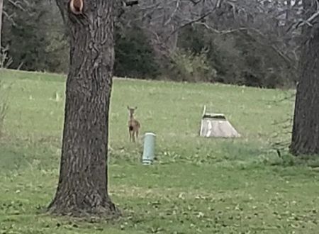 Whispering Pines Mobile Home park