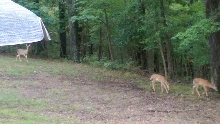 Deer Valley Park Picture 2
