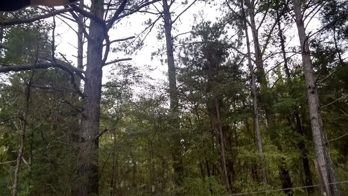 M&N Campground Picture 3