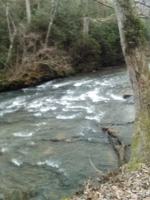 Camp Hidden Creek - Ashland, AL Picture 10