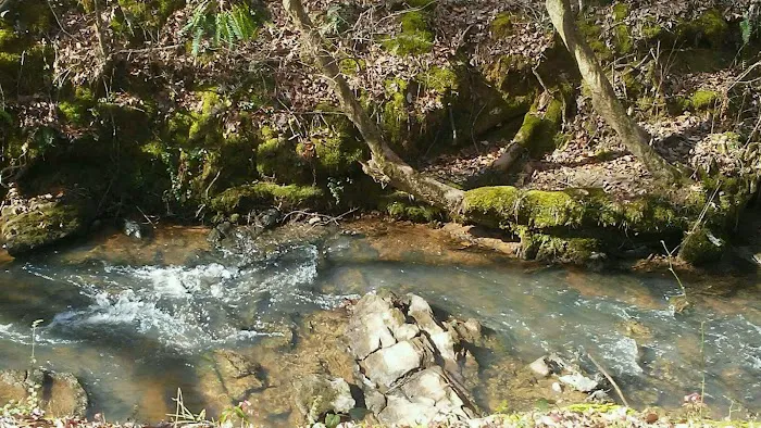 Camp Hidden Creek - Ashland, AL Picture 3