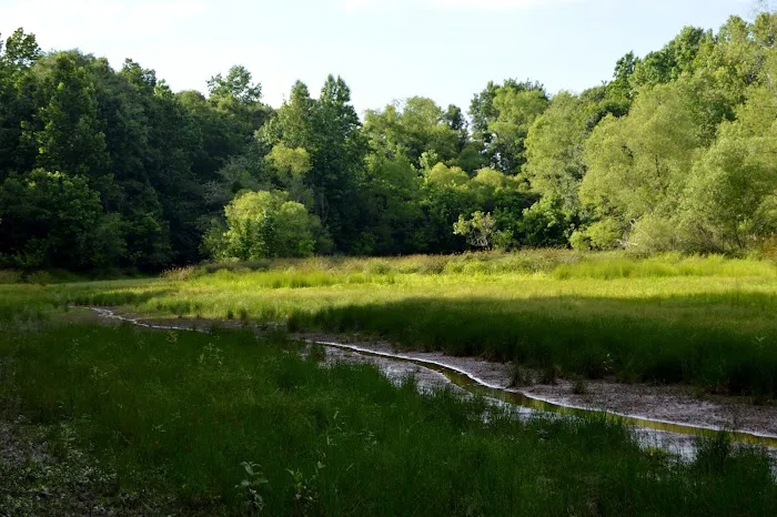 Brush Creek Park Picture 1