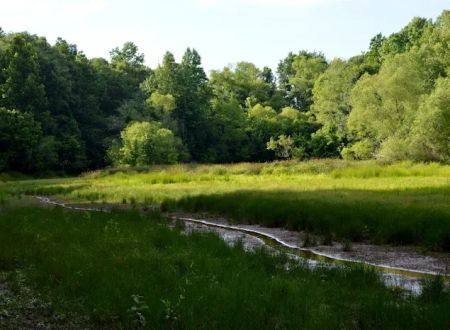 Brush Creek Park