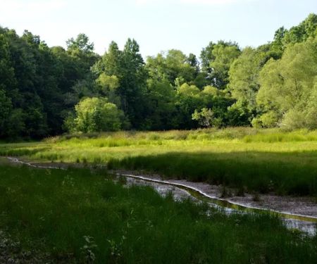 Brush Creek Park