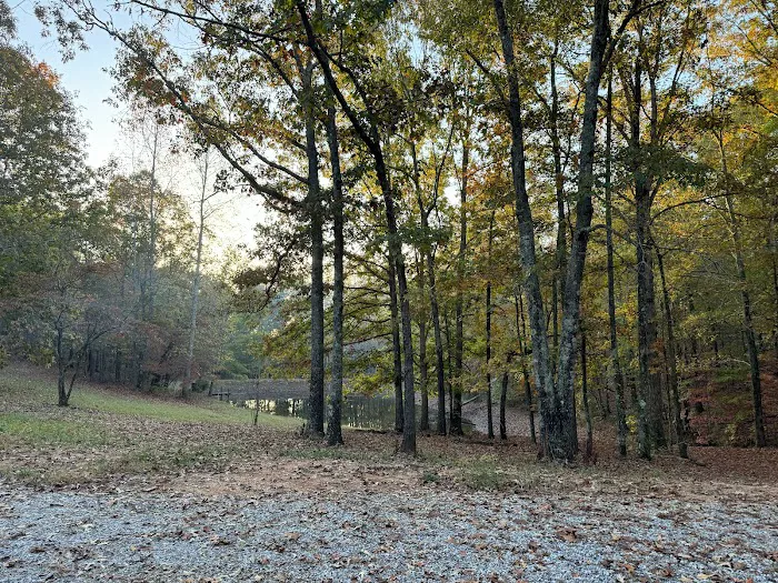 Hidden Branch Campground Picture 10