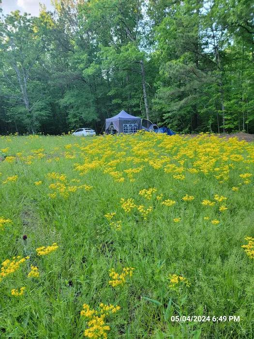 Hidden Branch Campground Picture 7