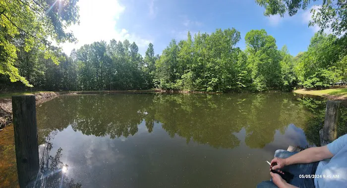 Hidden Branch Campground Picture 5