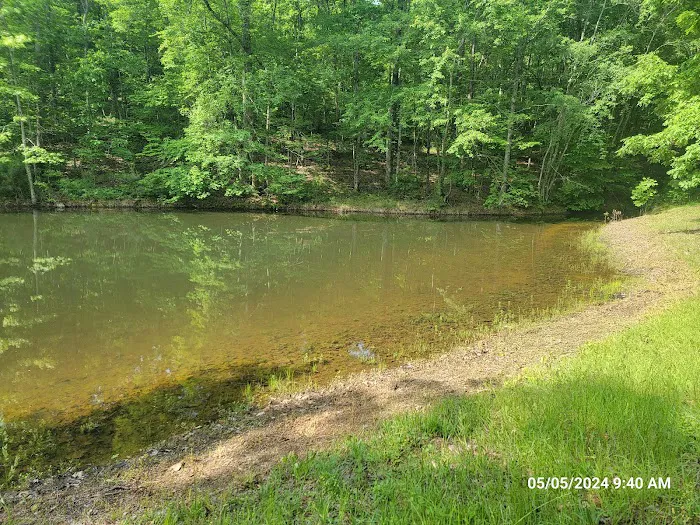 Hidden Branch Campground Picture 4