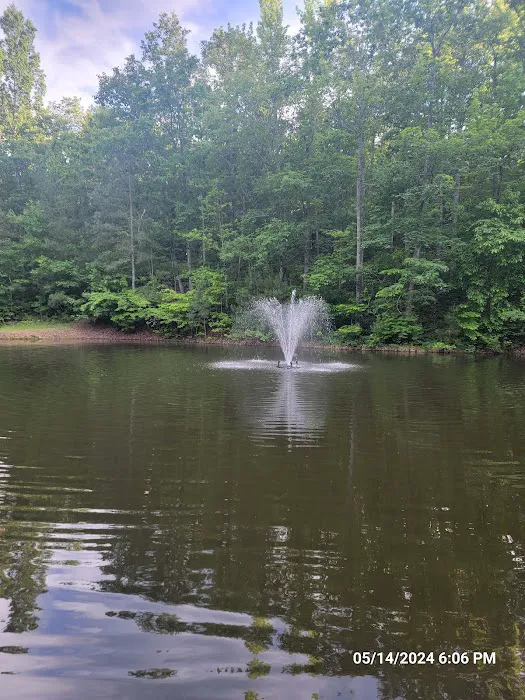 Hidden Branch Campground Picture 1