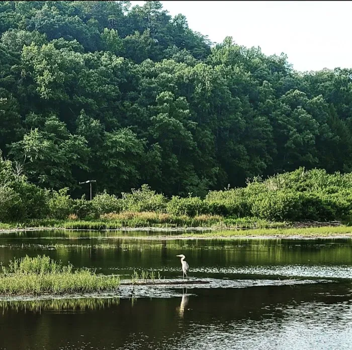 Brushy Lake Recreation Area Picture 6