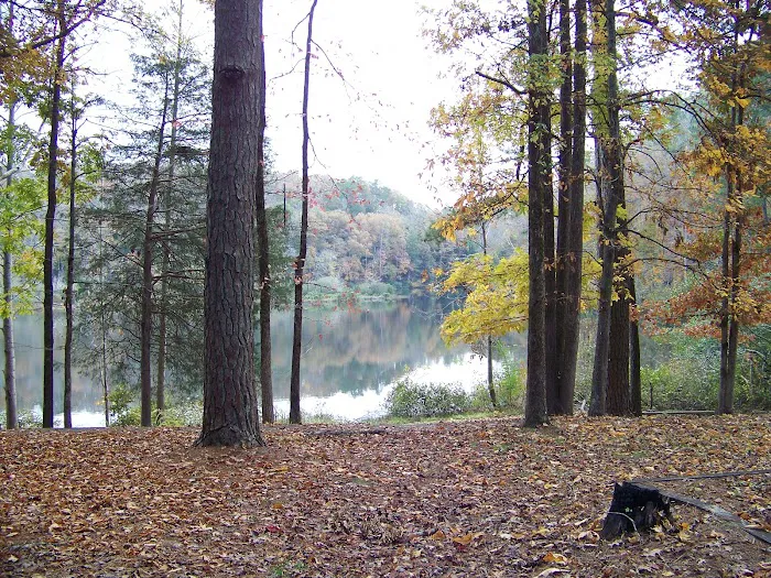 Brushy Lake Recreation Area Picture 2