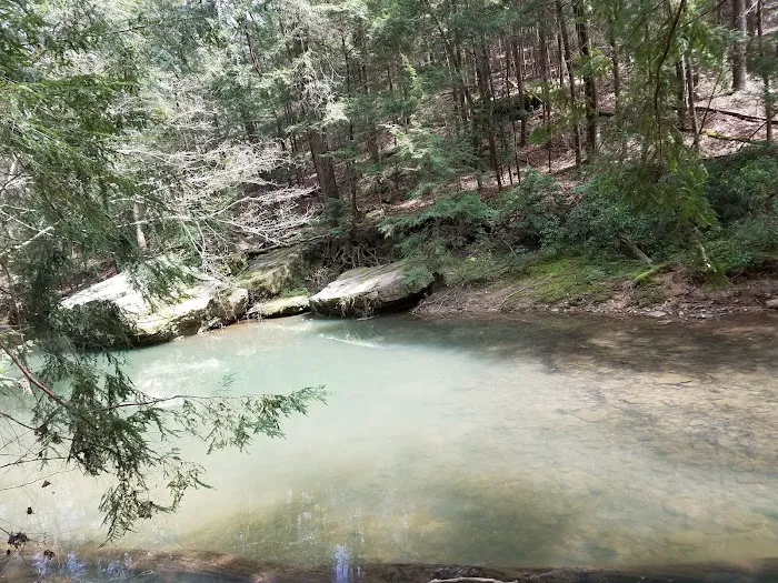 Brushy Lake Recreation Area Picture 1