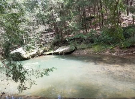 Brushy Lake Recreation Area