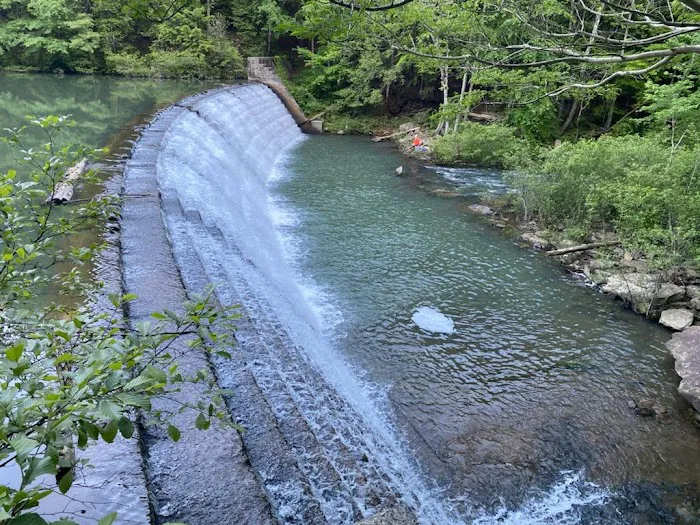 Brushy Lake Recreation Area Picture 3