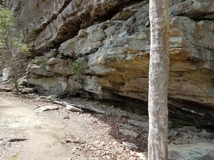 Brushy Lake Recreation Area Picture 7