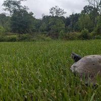 B & J Campground and RV Park ico