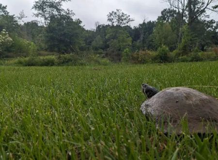 B & J Campground and RV Park