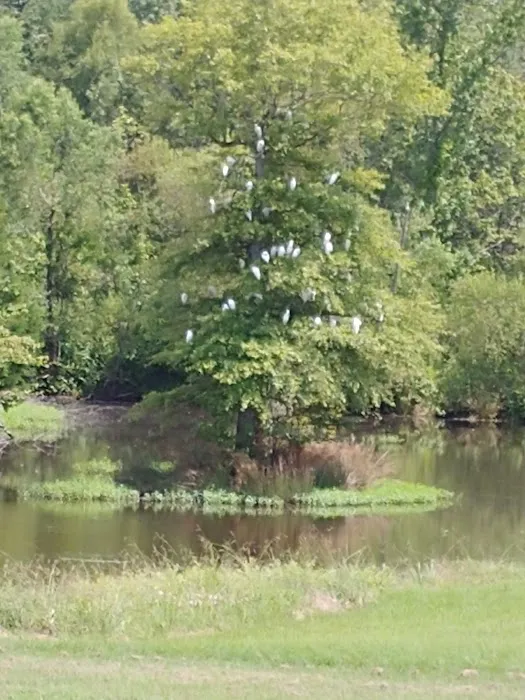 B & J Campground and RV Park Picture 8