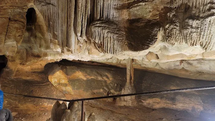 Rickwood Caverns State Park Campground Site #13 Picture 6