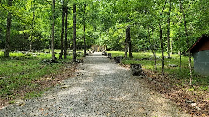 Rickwood Caverns State Park Campground Site #13 Picture 7