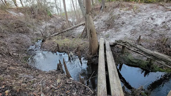 Waldrons Landing Picture 4
