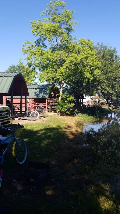 Bay St Louis Campground Picture 9
