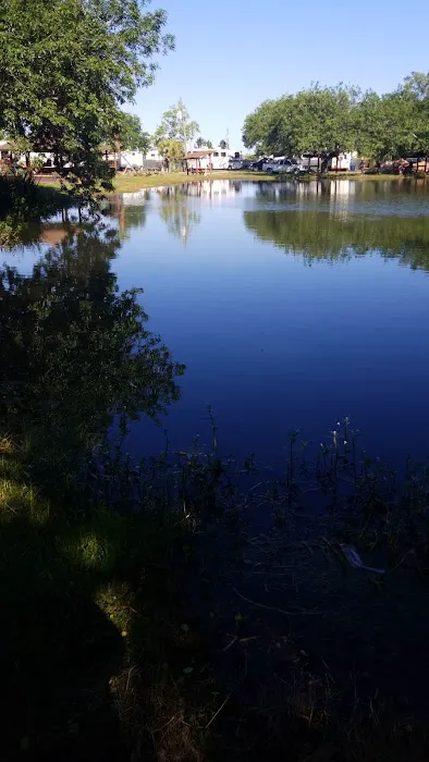 Bay St Louis Campground Picture 8
