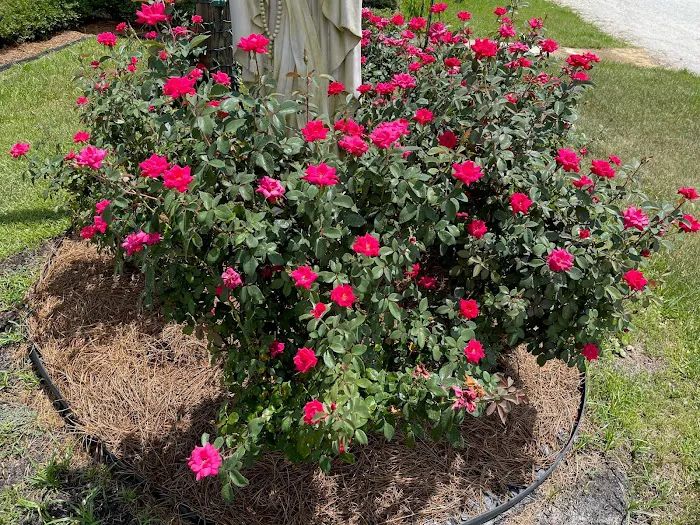 Azalea Bay RV Park Picture 7