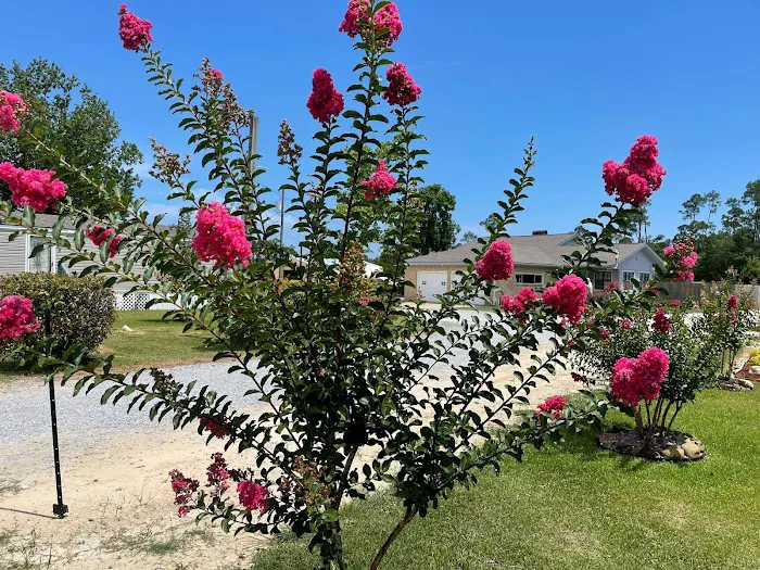 Azalea Bay RV Park Picture 10