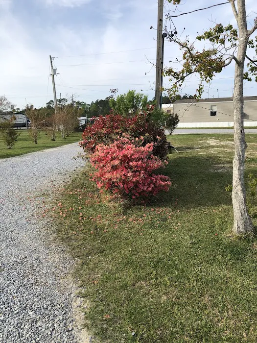 Azalea Bay RV Park Picture 5