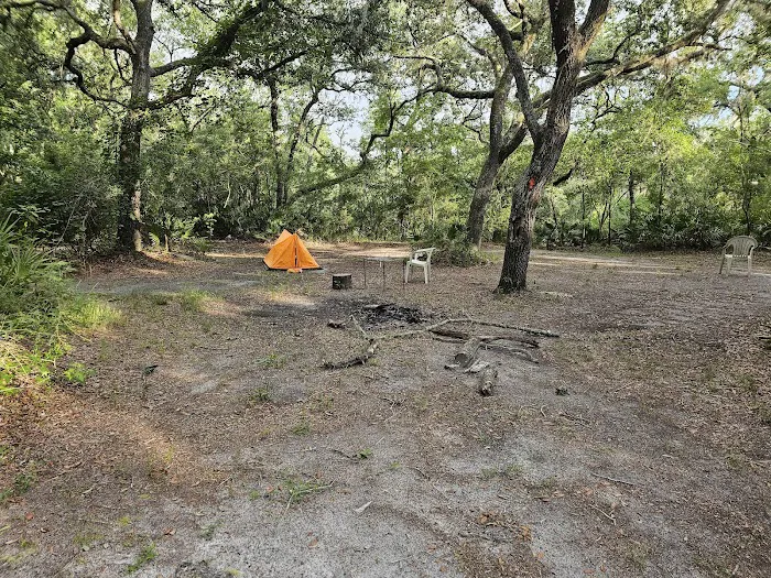 Crooked Branch Campsite Picture 1