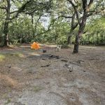 Crooked Branch Campsite