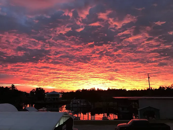 Bay Marina & RV Park Picture 5