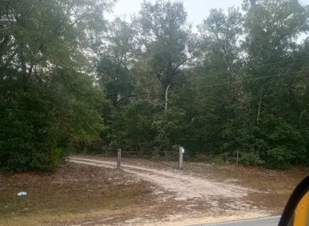 Benton camp