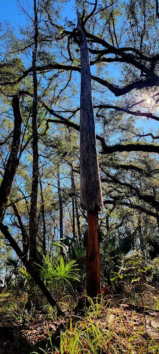 Oak Hammock Camp/Rice Creek Hilton Picture 3