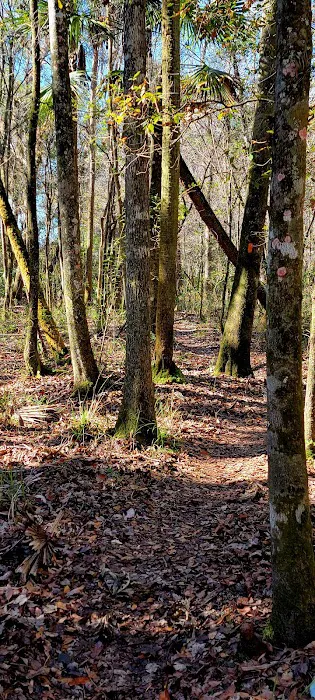 Oak Hammock Camp/Rice Creek Hilton Picture 6
