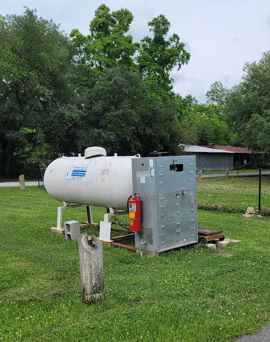 Bay Hide Away RV Park & Campground Picture 6
