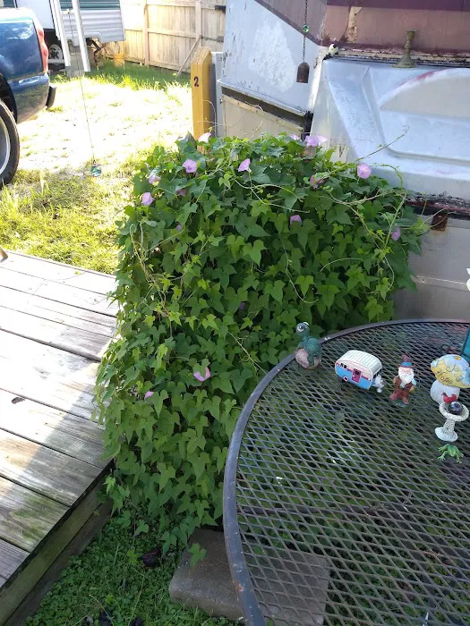 Nella's RV Park Picture 10