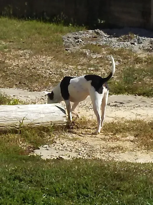 Nella's RV Park Picture 1