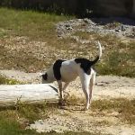 Nella's RV Park