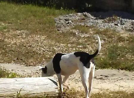 Nella's RV Park