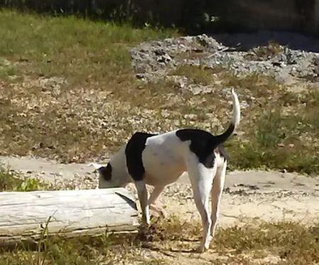 Nella's RV Park