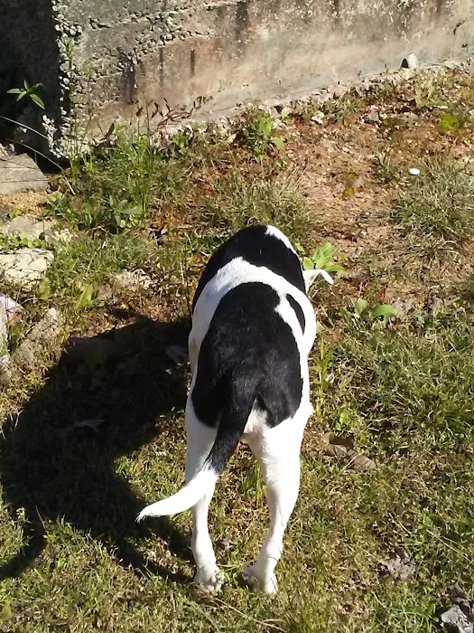 Nella's RV Park Picture 2