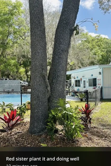 St. Johns Campground Picture 2